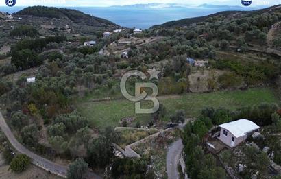 Karaburun Eğlenhoca'da 720 m² Deniz Manzaralı Tarla