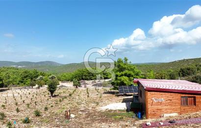 URLA ZEYTİNELİ'NDE İÇİNDE EVİ OLAN 8013 m2 SATILIK TARLA