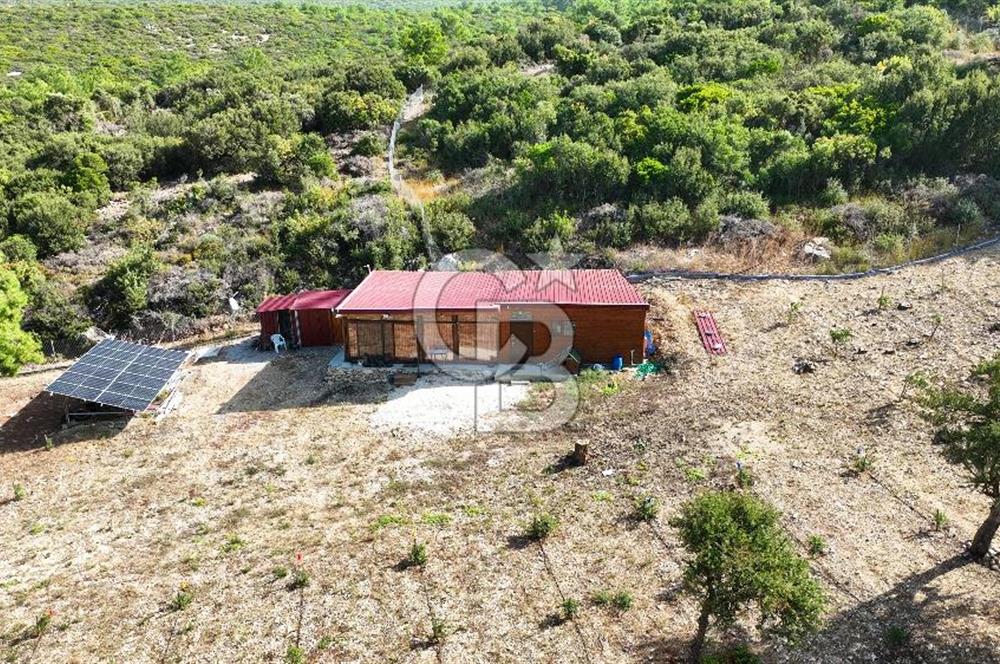 URLA ZEYTİNELİ'NDE İÇİNDE EVİ OLAN 8013 m2 SATILIK TARLA