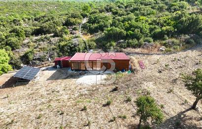 URLA ZEYTİNELİ'NDE İÇİNDE EVİ OLAN 8013 m2 SATILIK TARLA