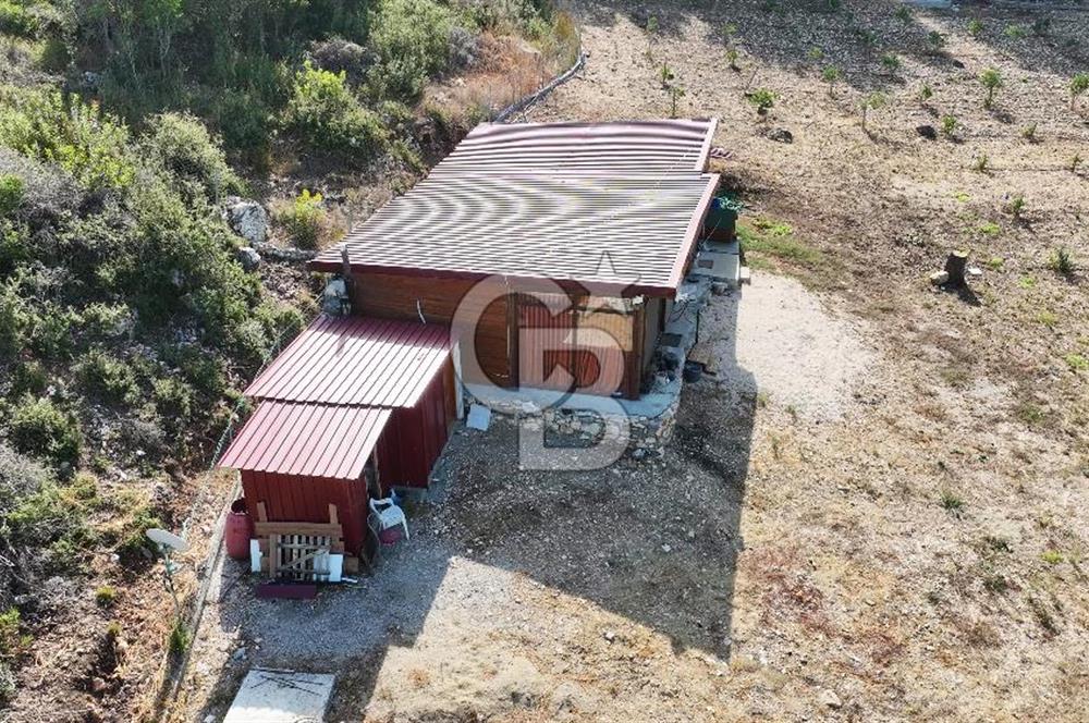 URLA ZEYTİNELİ'NDE İÇİNDE EVİ OLAN 8013 m2 SATILIK TARLA