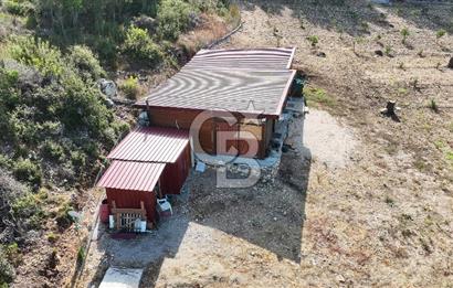 URLA ZEYTİNELİ'NDE İÇİNDE EVİ OLAN 8013 m2 SATILIK TARLA