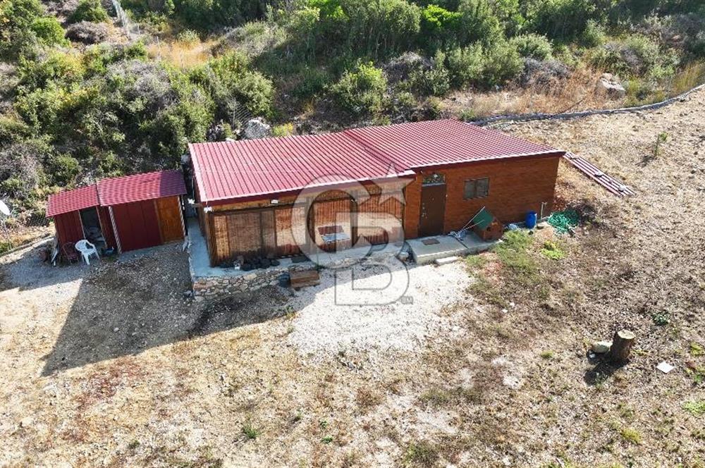 URLA ZEYTİNELİ'NDE İÇİNDE EVİ OLAN 8013 m2 SATILIK TARLA