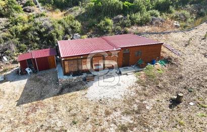 URLA ZEYTİNELİ'NDE İÇİNDE EVİ OLAN 8013 m2 SATILIK TARLA