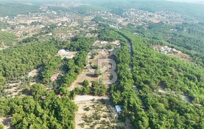 ÇİÇEKLİKÖY'DE YOLA CEPHELİ DOĞA İÇİNDE 20.000 m2 KİRALIK ARAZİ