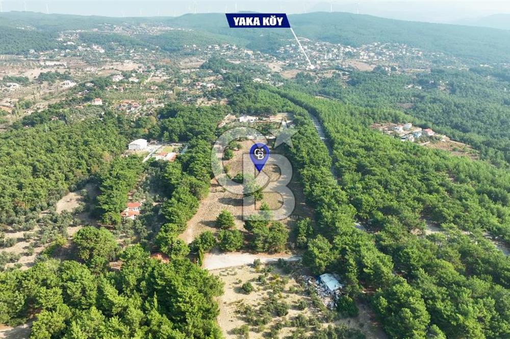 ÇİÇEKLİKÖY'DE YOLA CEPHELİ DOĞA İÇİNDE 20.000 m2 KİRALIK ARAZİ