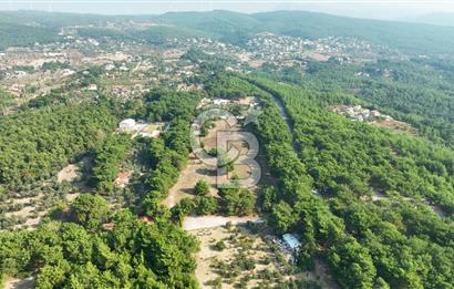 ÇİÇEKLİKÖY'DE YOLA CEPHELİ DOĞA İÇİNDE 20.000 m2 KİRALIK ARAZİ