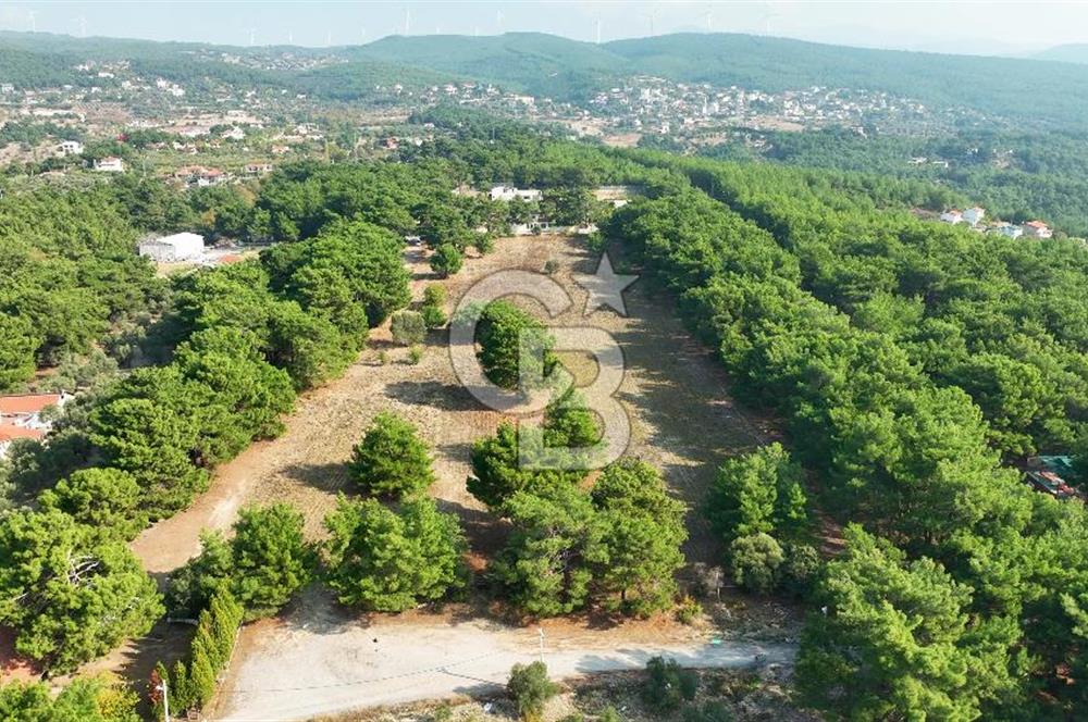 ÇİÇEKLİKÖY'DE YOLA CEPHELİ DOĞA İÇİNDE 20.000 m2 KİRALIK ARAZİ