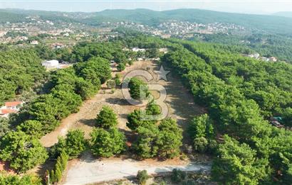 ÇİÇEKLİKÖY'DE YOLA CEPHELİ DOĞA İÇİNDE 20.000 m2 KİRALIK ARAZİ