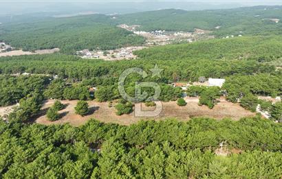 ÇİÇEKLİKÖY'DE YOLA CEPHELİ DOĞA İÇİNDE 20.000 m2 KİRALIK ARAZİ