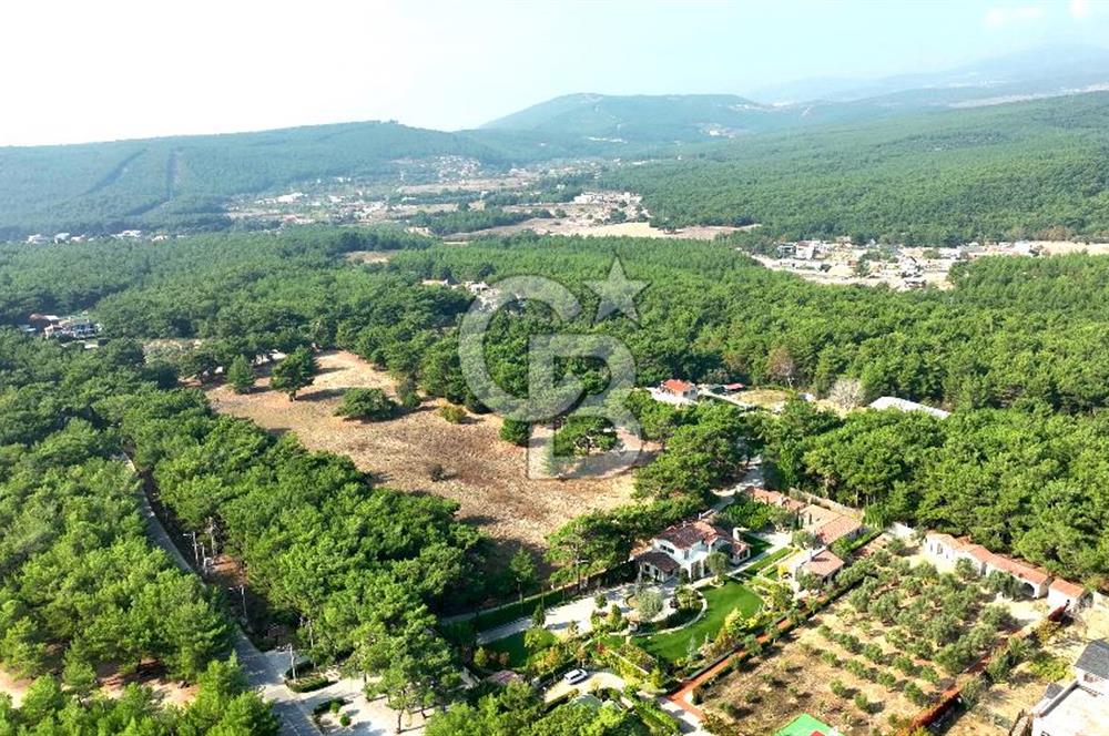 ÇİÇEKLİKÖY'DE YOLA CEPHELİ DOĞA İÇİNDE 20.000 m2 KİRALIK ARAZİ