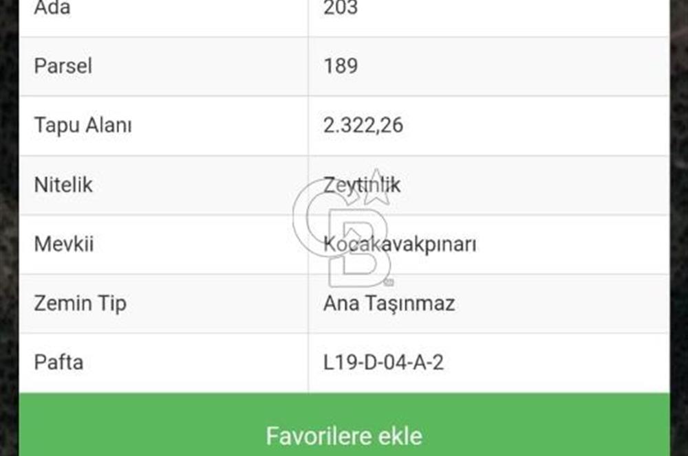 Bayındır'ın kaplıca cenneti Ergenli'de kelepir zeytinlik