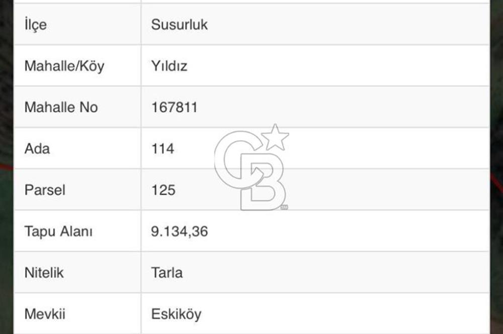 CB NOVO'DAN SUSURLUK YILDIZ'DA HAZIR KURULU K.BAŞ-B.BAŞ ÇİFTLİK