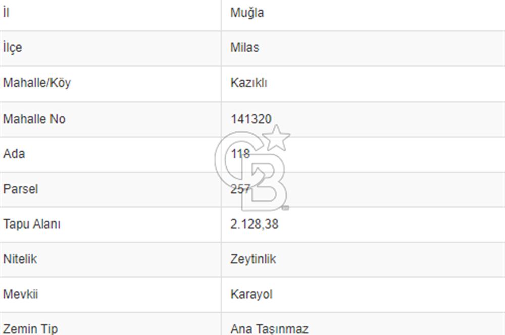 Milas Kazıklı Deniz Manzaralı Zeytinlik