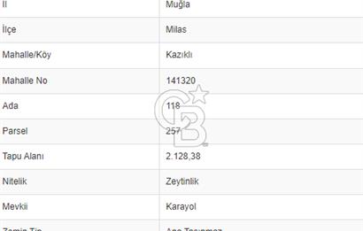 Milas Kazıklı Deniz Manzaralı Zeytinlik