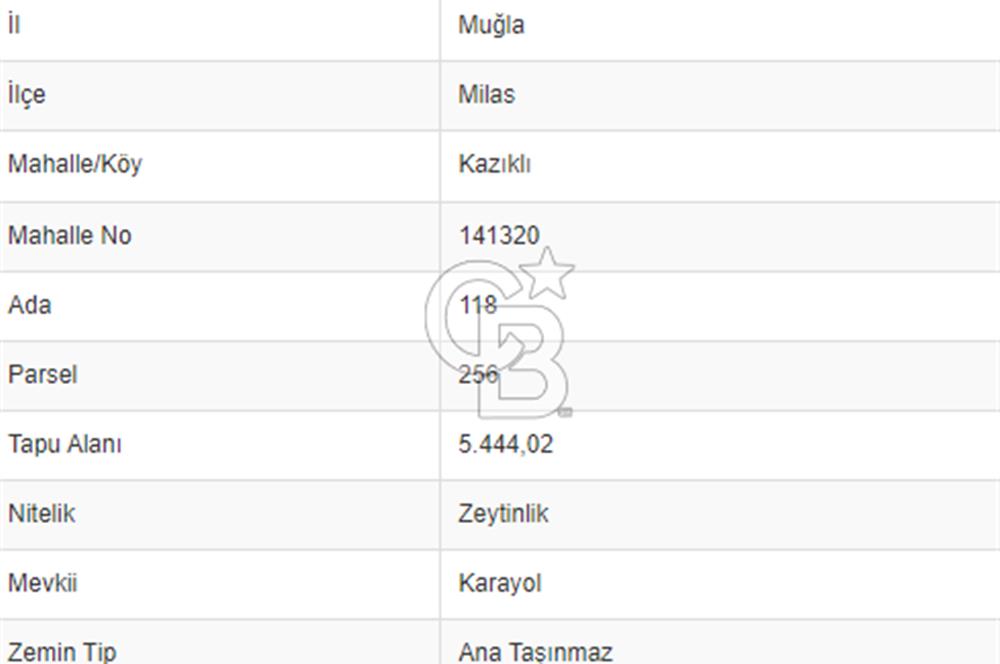 Muğla Milas Kazıklı Deniz Manzaralı Zeytinlik