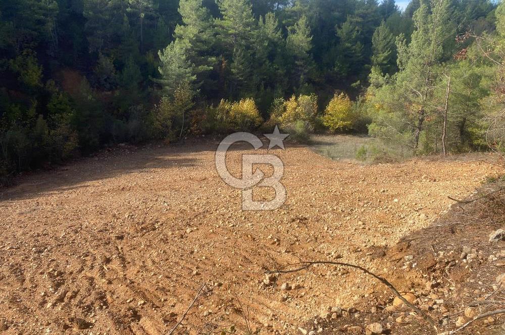 Muğla menteşe yerkesik Mahallesinde satılık tarla 