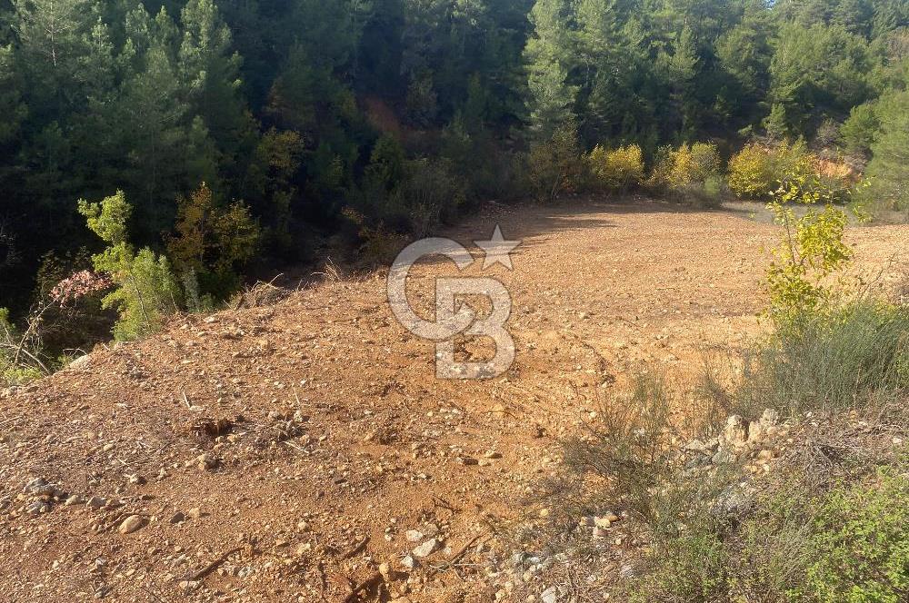 Muğla menteşe yerkesik Mahallesinde satılık tarla 