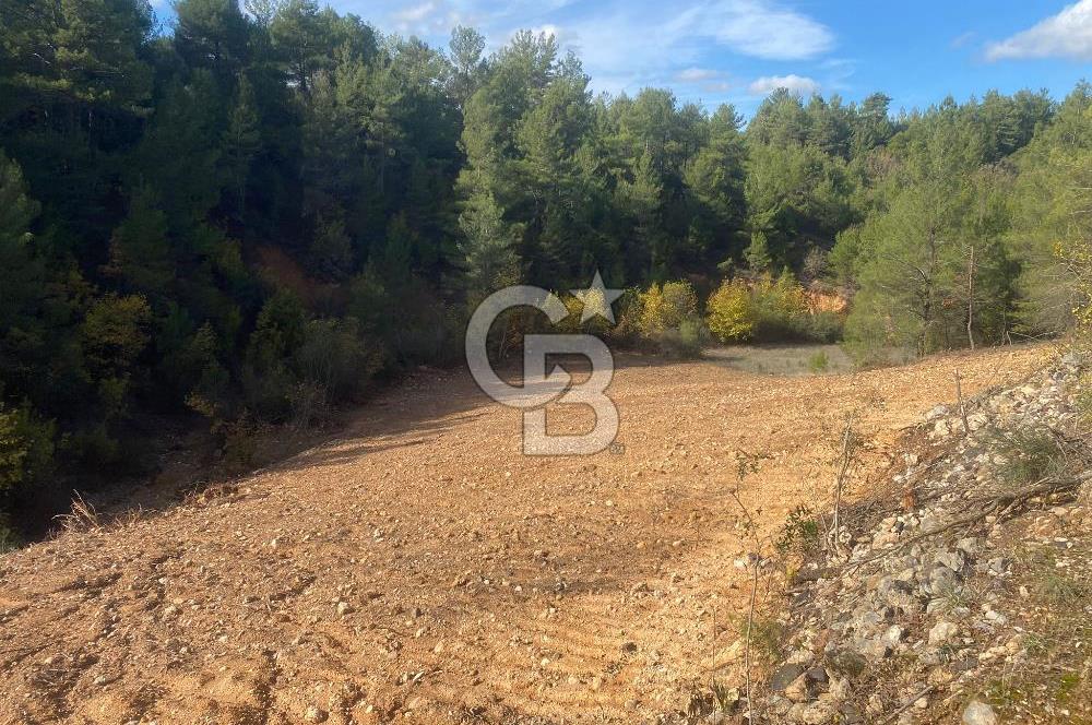 Muğla menteşe yerkesik Mahallesinde satılık tarla 