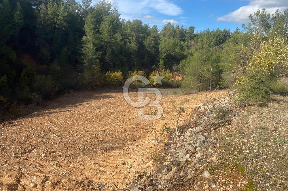 Muğla menteşe yerkesik Mahallesinde satılık tarla 