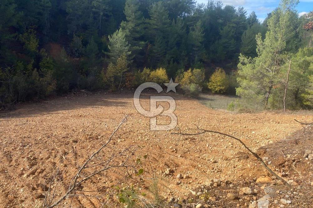 Muğla menteşe yerkesik Mahallesinde satılık tarla 