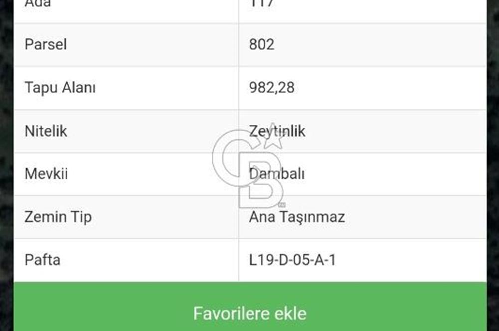 Bayındır Ergenli'de 1 dönüm kelepir zeytinlik