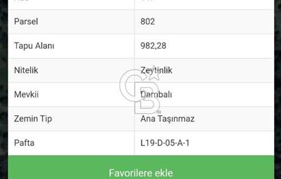 Bayındır Ergenli'de 1 dönüm kelepir zeytinlik