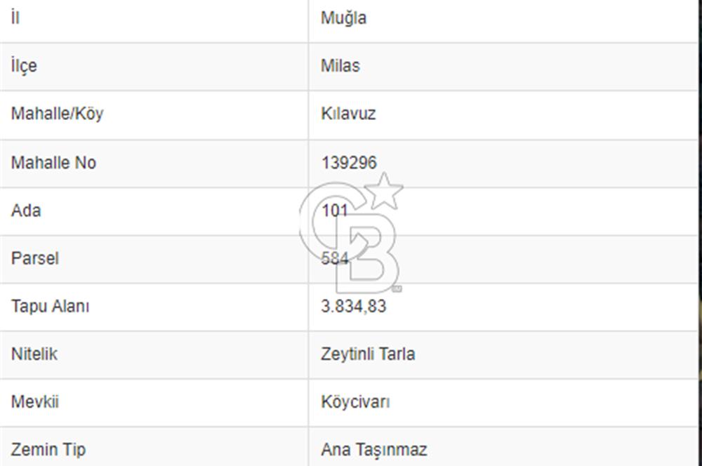 Milas Kılavuz Köyünde Satılık Zeytinlik