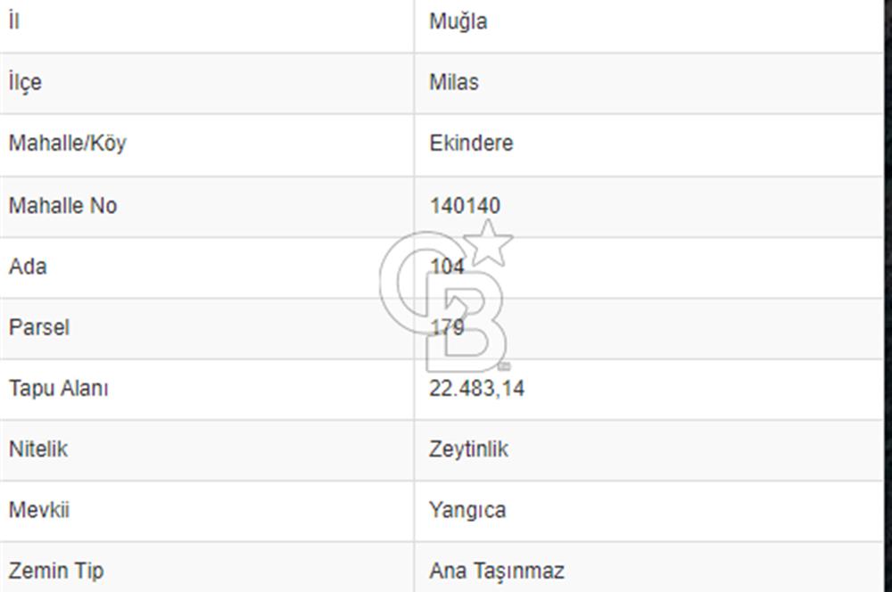 Muğla Milas Ekindere Köyünde 22.500 M2 Zeytinlik