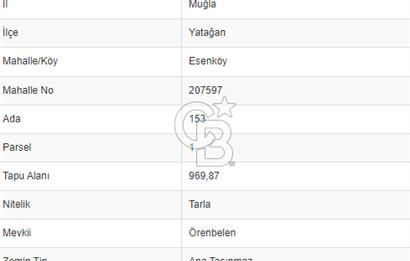 Muğla Yatağan Esenköy Satılık Arazi