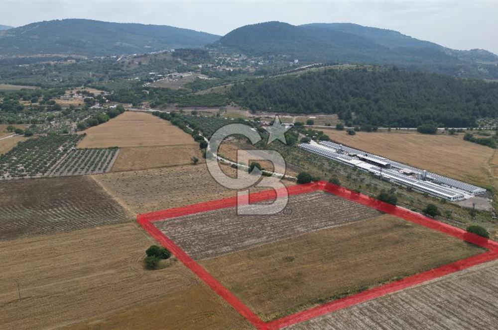 ALİAĞA GÜZELHİSAR YOL CEPHELİ 20.000 M2 SATILIK ARSA