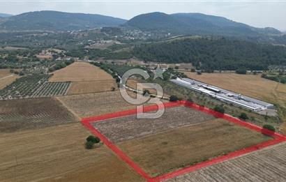 ALİAĞA GÜZELHİSAR YOL CEPHELİ 20.000 M2 SATILIK ARSA