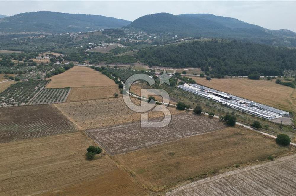 ALİAĞA GÜZELHİSAR YOL CEPHELİ 20.000 M2 SATILIK ARSA