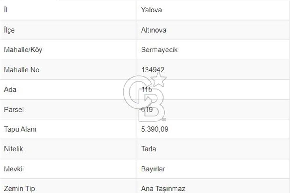 Yalova Altınova Sermayecik Köyü Doğanın İçinde Satılık Tarla 5.390 m2! 