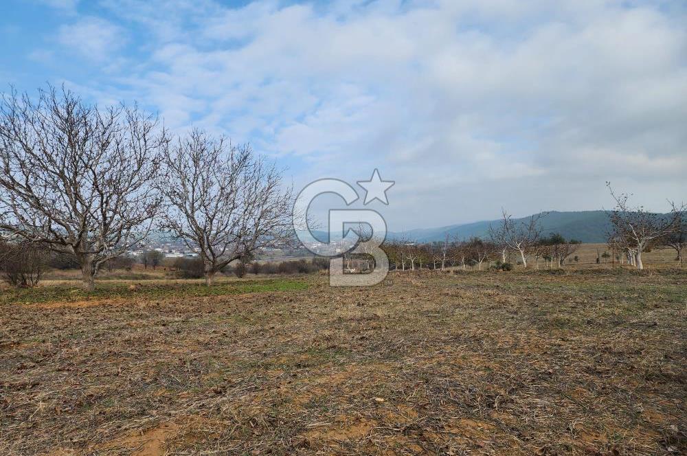 Edirne Keşan Sazlıdere Satılık 10.306 M2 Arazi