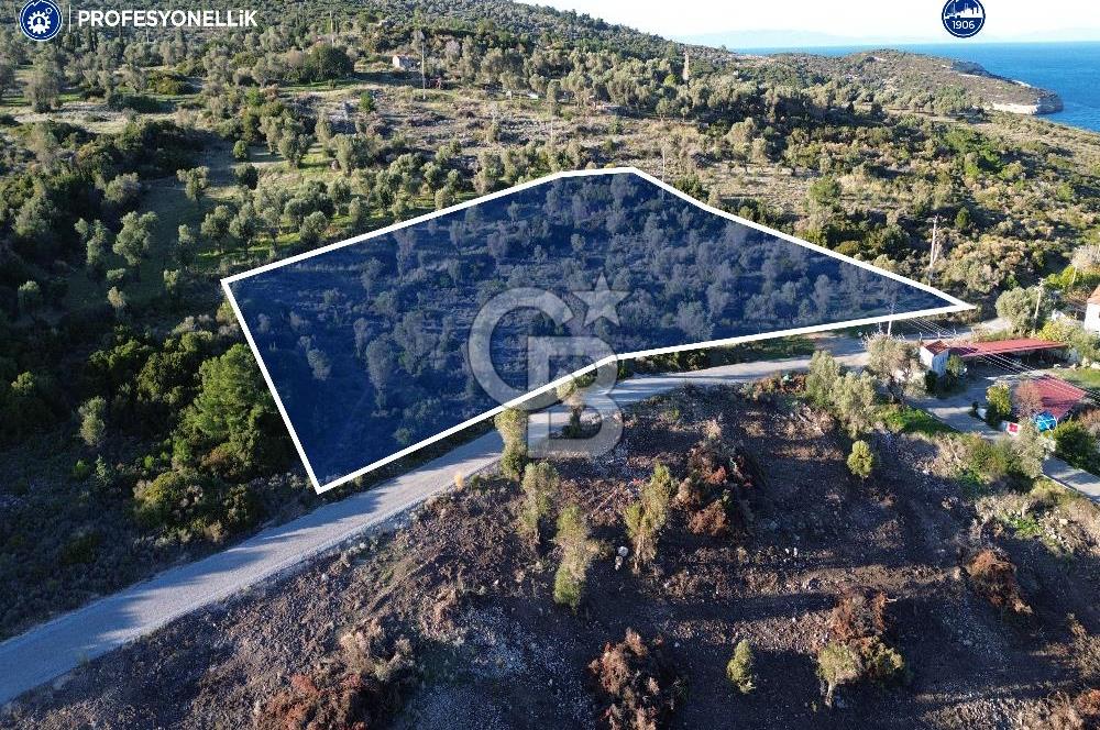 Karaburun Anbarseki'de 4754 m² Deniz Manzaralı Arsa