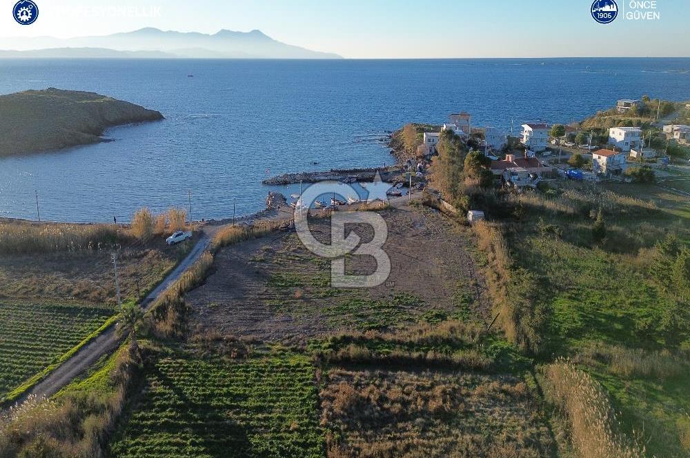 İzmir Karaburun Salman'da Denize Sıfır Satılık Tarla