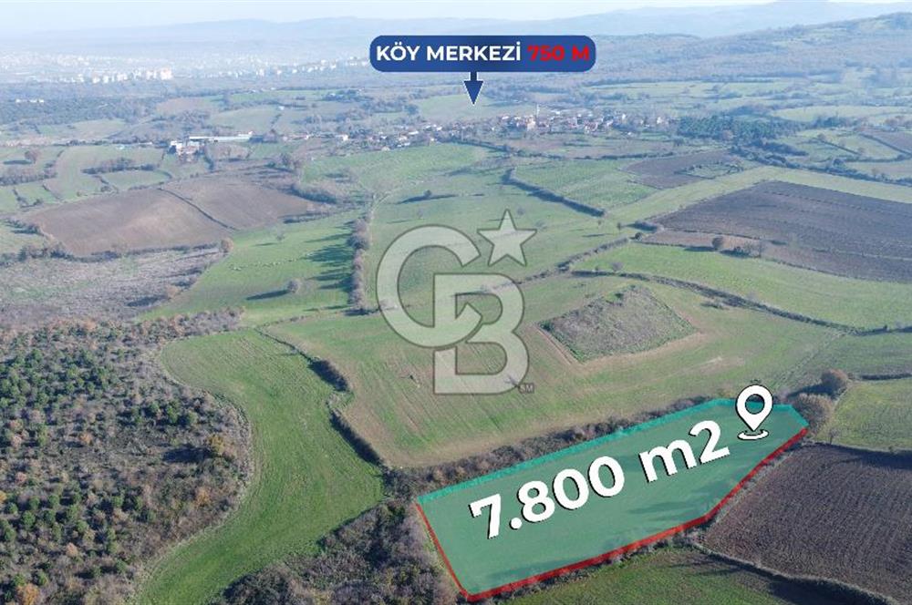 Çanakkale Biga Akpınar Köyünde Satılık 7.800 M2 Arsa !