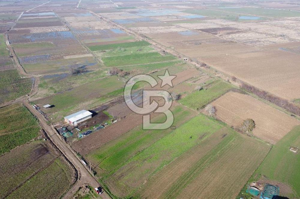 Çanakkale Biga Gemicikırı Köyünde 3.192 M2 Satılık Arsa !