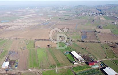 Çanakkale Biga Gemicikırı Köyünde 3.192 M2 Satılık Arsa !