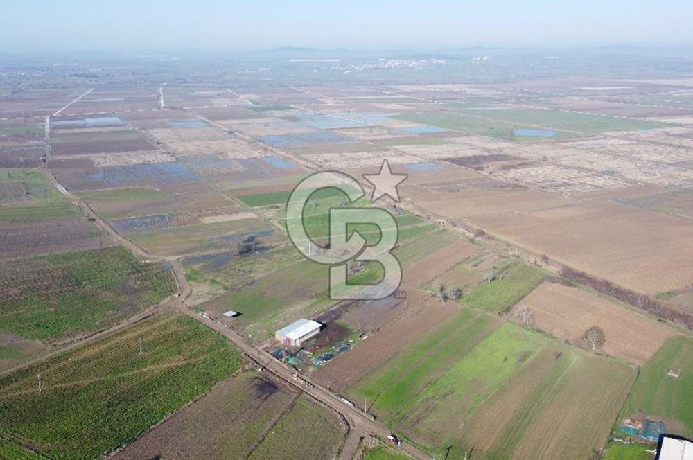 Çanakkale Biga Gemicikırı Köyünde 3.192 M2 Satılık Arsa !