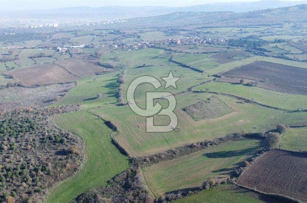 Çanakkale Biga Akpınar Köyünde Satılık 7.800 M2 Arsa !