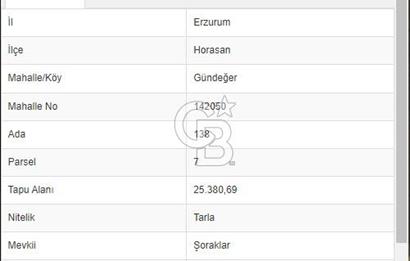 CB ATA'DAN ERZURUM HORASAN'DA SATILIK FIRSAT TARLA