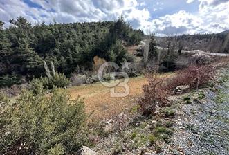 Günlüce Mahallesi İmarlı Tarla 