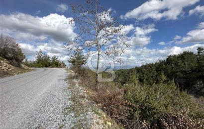 Günlüce Mahallesi İmarlı Tarla 