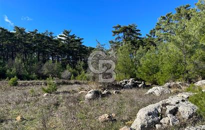 Muğla Menteşe Kıranda Satılık tarla