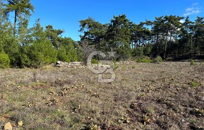 Muğla Menteşe Kıranda Satılık tarla