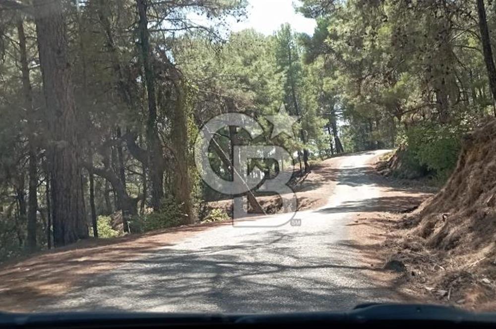 KAŞ PINARBAŞINDA YATIRIMLIK DENİZ MANZARALI SATILIK TARLA