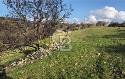 ÇANAKKALE MERKEZ KALABAKLI'DA SATILIK KOOPERATİF HİSSESİ