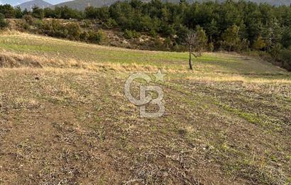 ÇANAKKALE YUKARIOKÇULAR KÖYÜNDE DENİZ MANZARALI TARLA